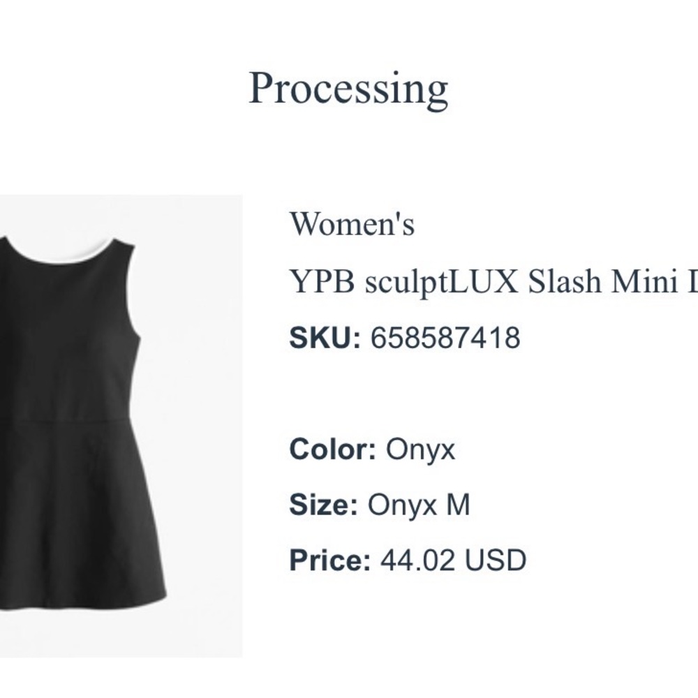 Abercrombie & Fitch Onyx Sculpted Mini Dress